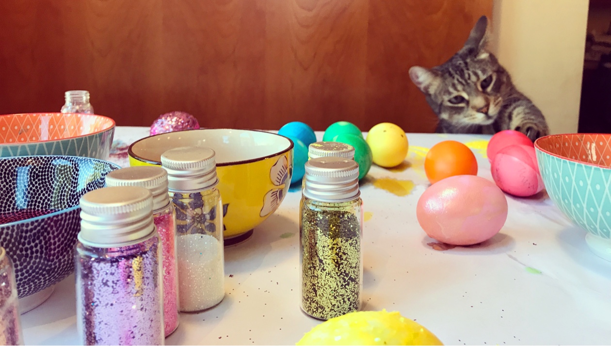 9 top tips to consider when buying a cat Tesco Bank